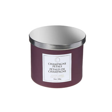 iHcasadécor Champagne Petals Scented Jar Candle | Wayfair